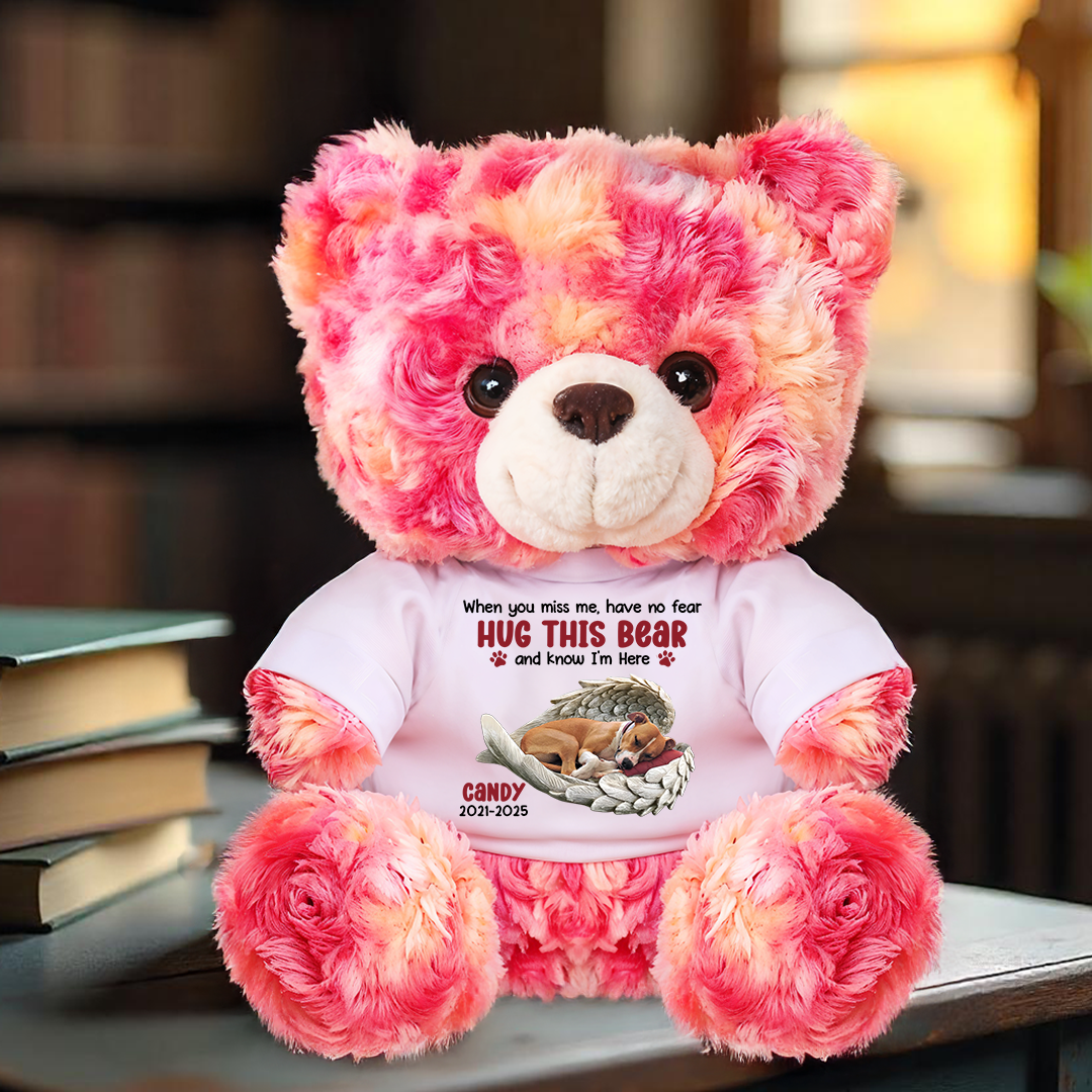 Hug This Bear Know I'm Here - Personalized Pet Memorial Bear Plush - Custom Name and Photo Teddy Bear