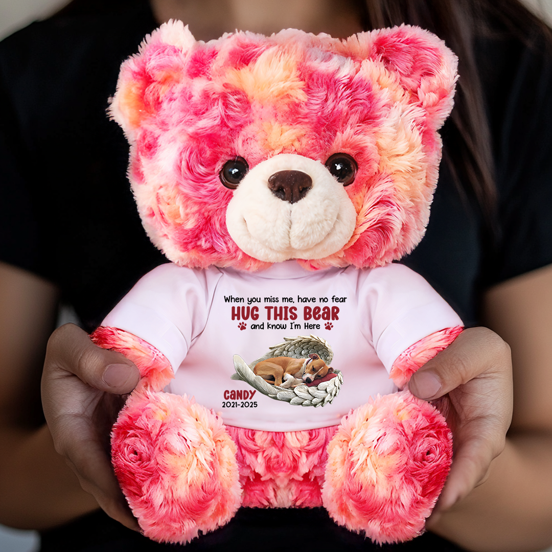Hug This Bear Know I'm Here - Personalized Pet Memorial Bear Plush - Custom Name and Photo Teddy Bear