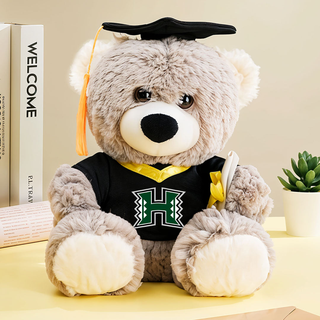 Class Of 2025 - Personalized Graduation Teddy Bear β Custom Gift For 2025 Graduates