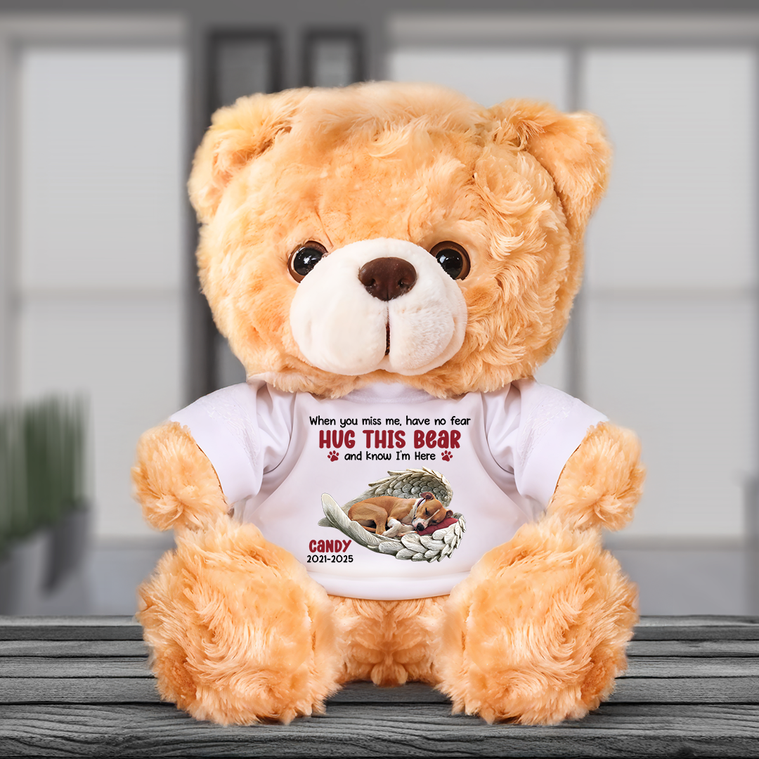 Hug This Bear Know I'm Here - Personalized Pet Memorial Bear Plush - Custom Name and Photo Teddy Bear