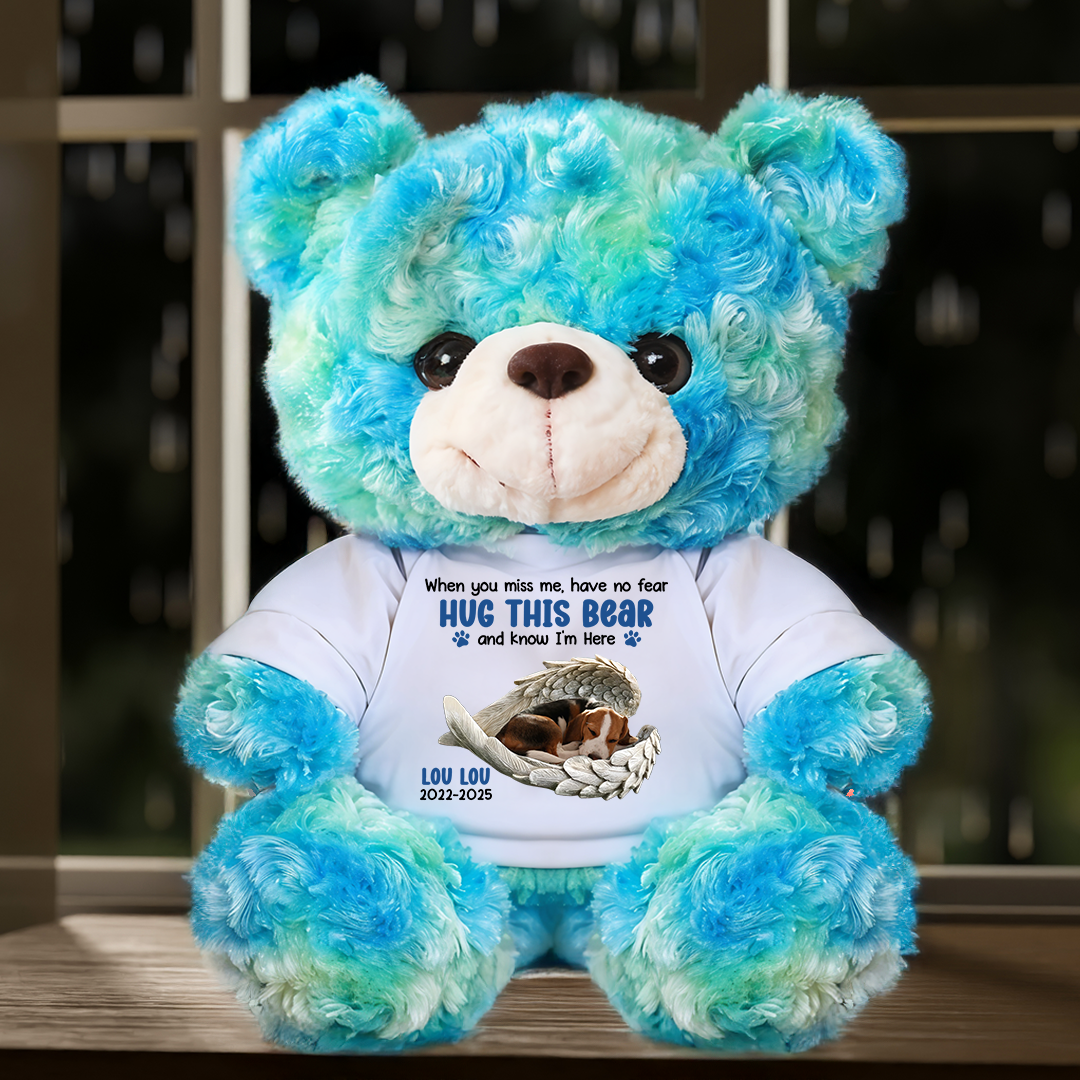 Hug This Bear Know I'm Here - Personalized Pet Memorial Bear Plush - Custom Name and Photo Teddy Bear
