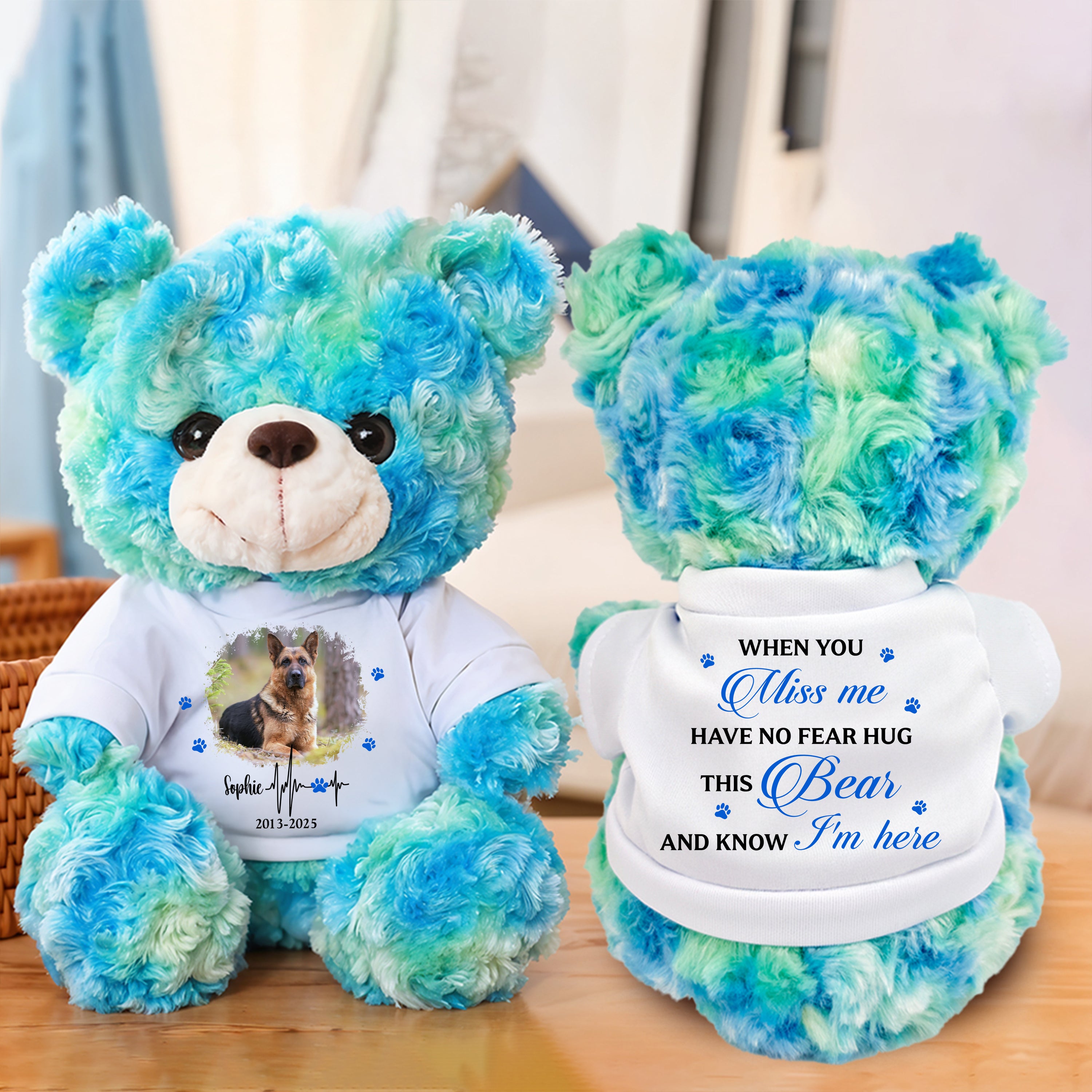 Hug This Bear I'm Here - Personalized Pet Memorial Bear Plush - Custom Name and Photo Teddy Bear