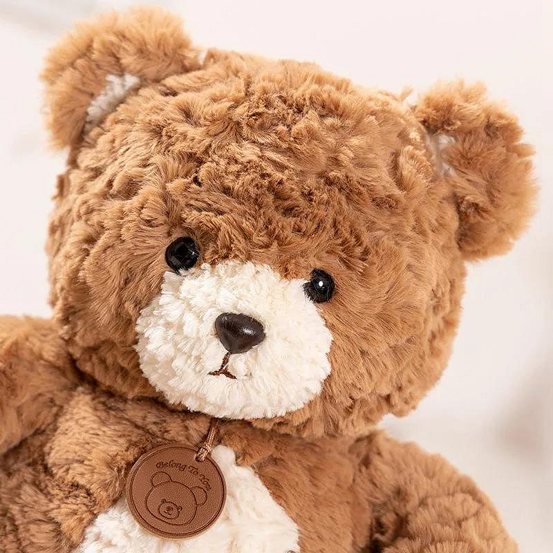 A Hug From Heaven Memorial Bear Plush - Custom Photo Cute Bear