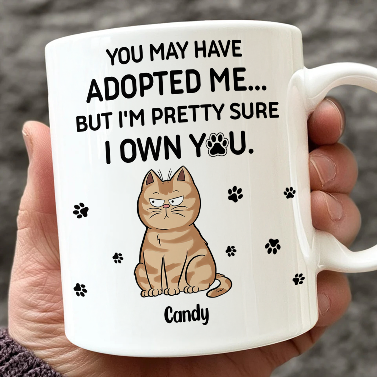 We Own You - Cat Lover Mug - Personalized Custom Mug