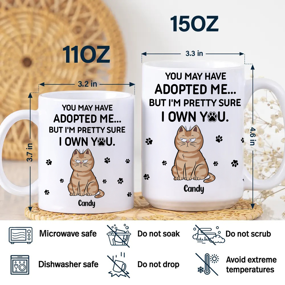 We Own You - Cat Lover Mug - Personalized Custom Mug