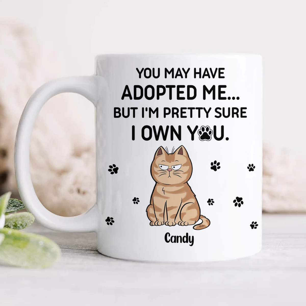 We Own You - Cat Lover Mug - Personalized Custom Mug