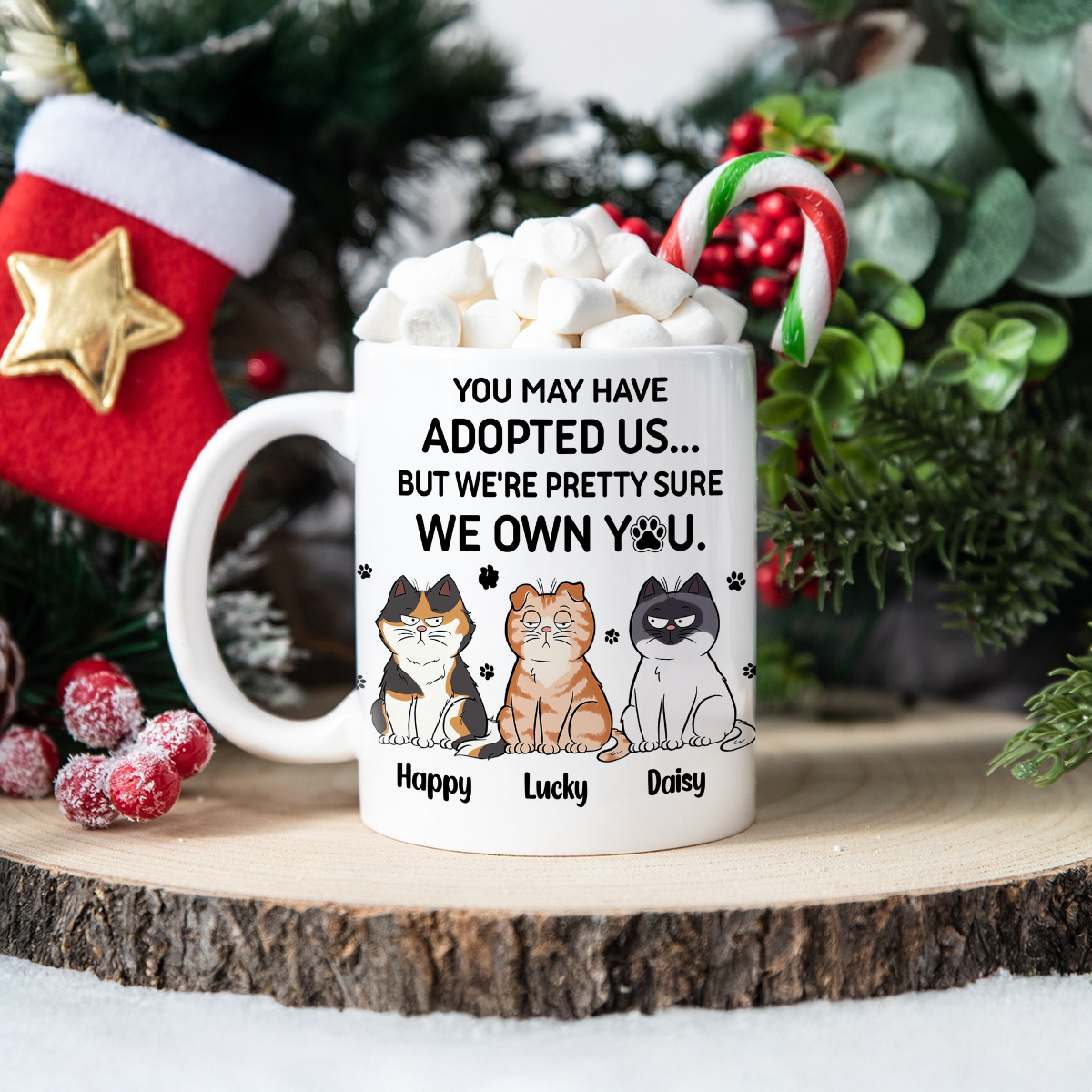 We Own You - Cat Lover Mug - Personalized Custom Mug