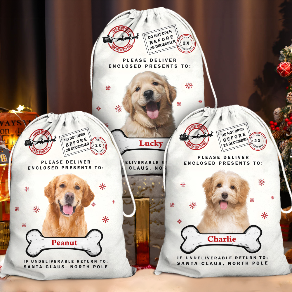 Christmas Bag Custom Pet Photo - Special Delivery - Christmas Sack