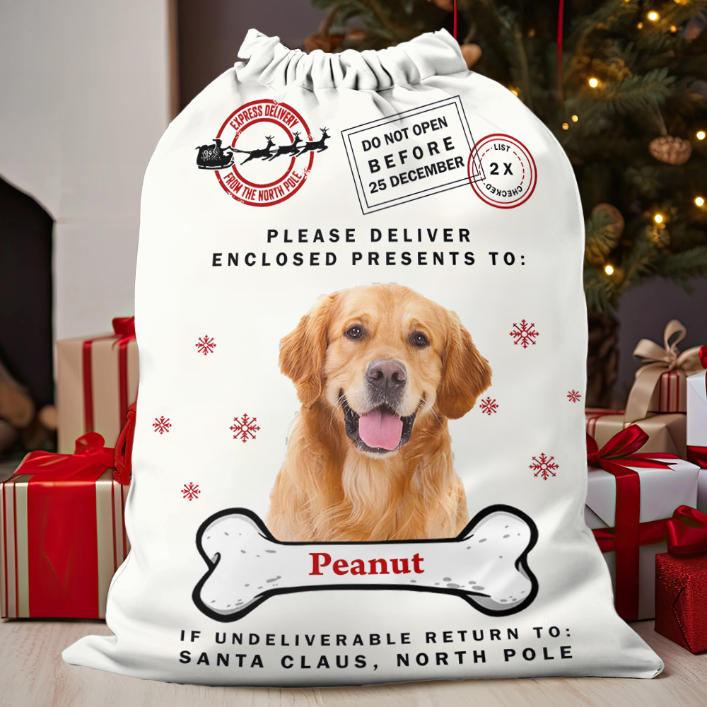 Christmas Bag Custom Pet Photo - Special Delivery - Christmas Sack