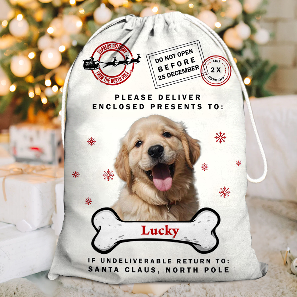 Christmas Bag Custom Pet Photo - Special Delivery - Christmas Sack
