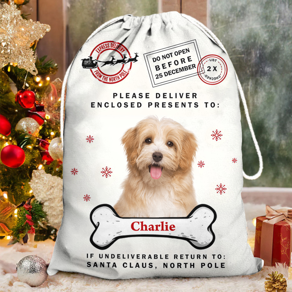 Christmas Bag Custom Pet Photo - Special Delivery - Christmas Sack