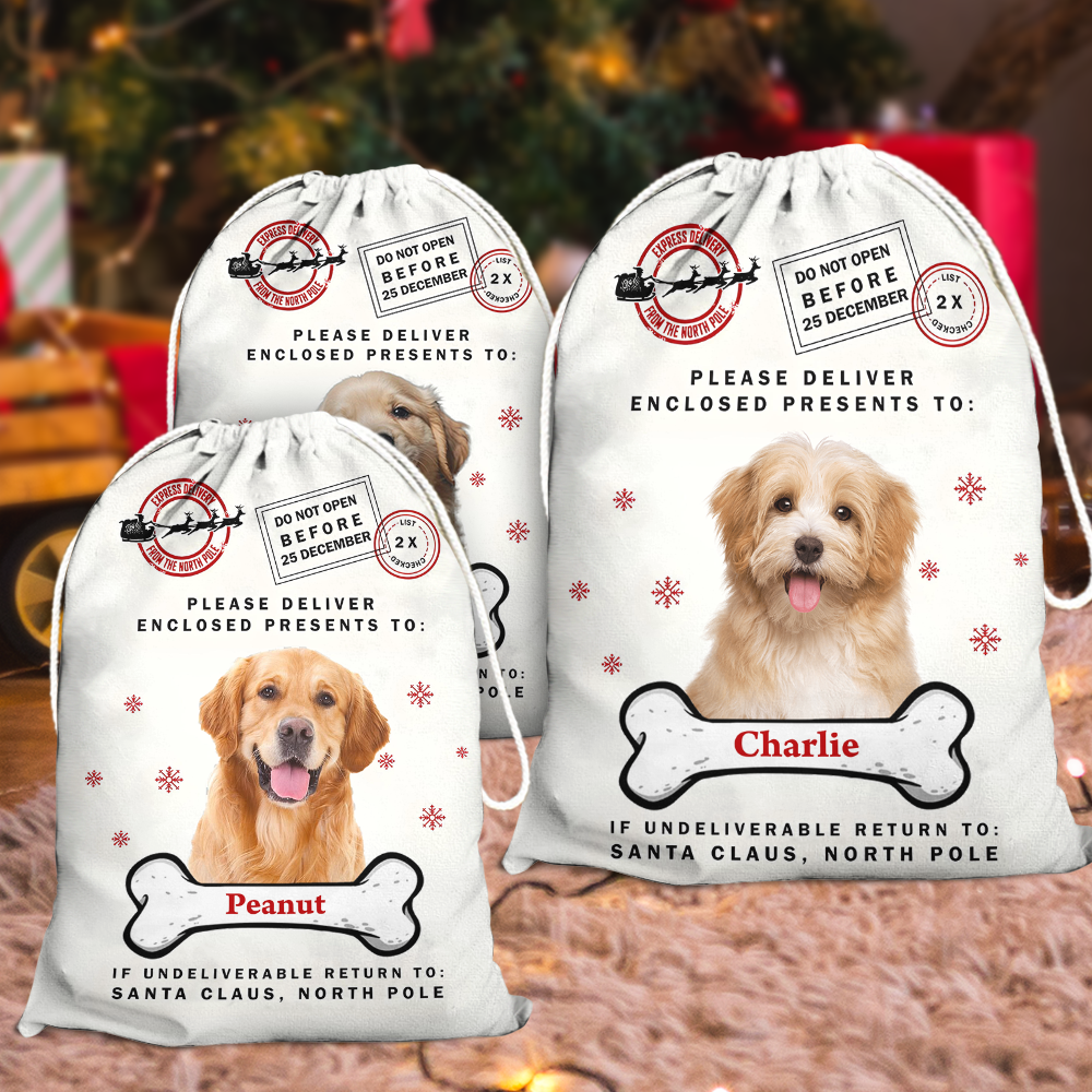 Christmas Bag Custom Pet Photo - Special Delivery - Christmas Sack