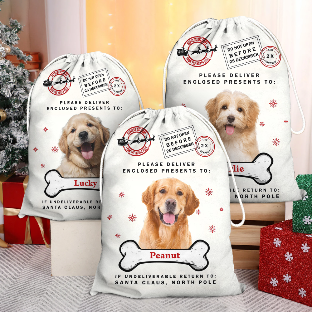 Christmas Bag Custom Pet Photo - Special Delivery - Christmas Sack